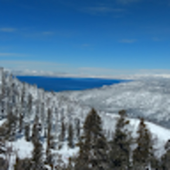 Meet your Posher, Rob - Picture 1 of 1